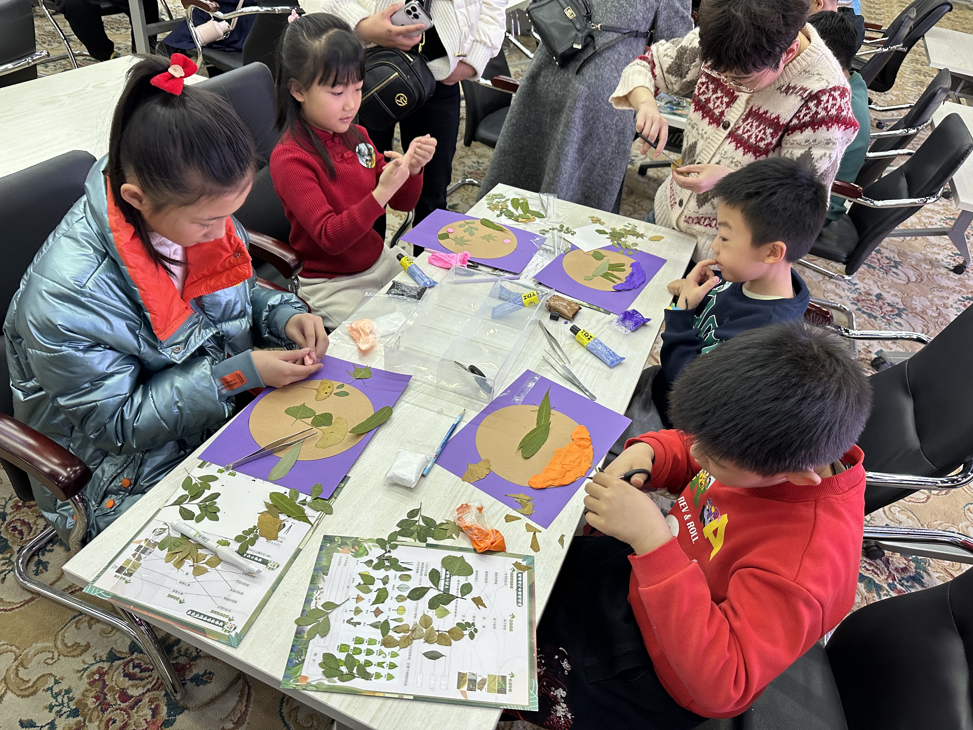 观察植物、动手实践1.jpg